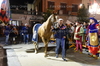 Immagine <b>REG_8133</b>